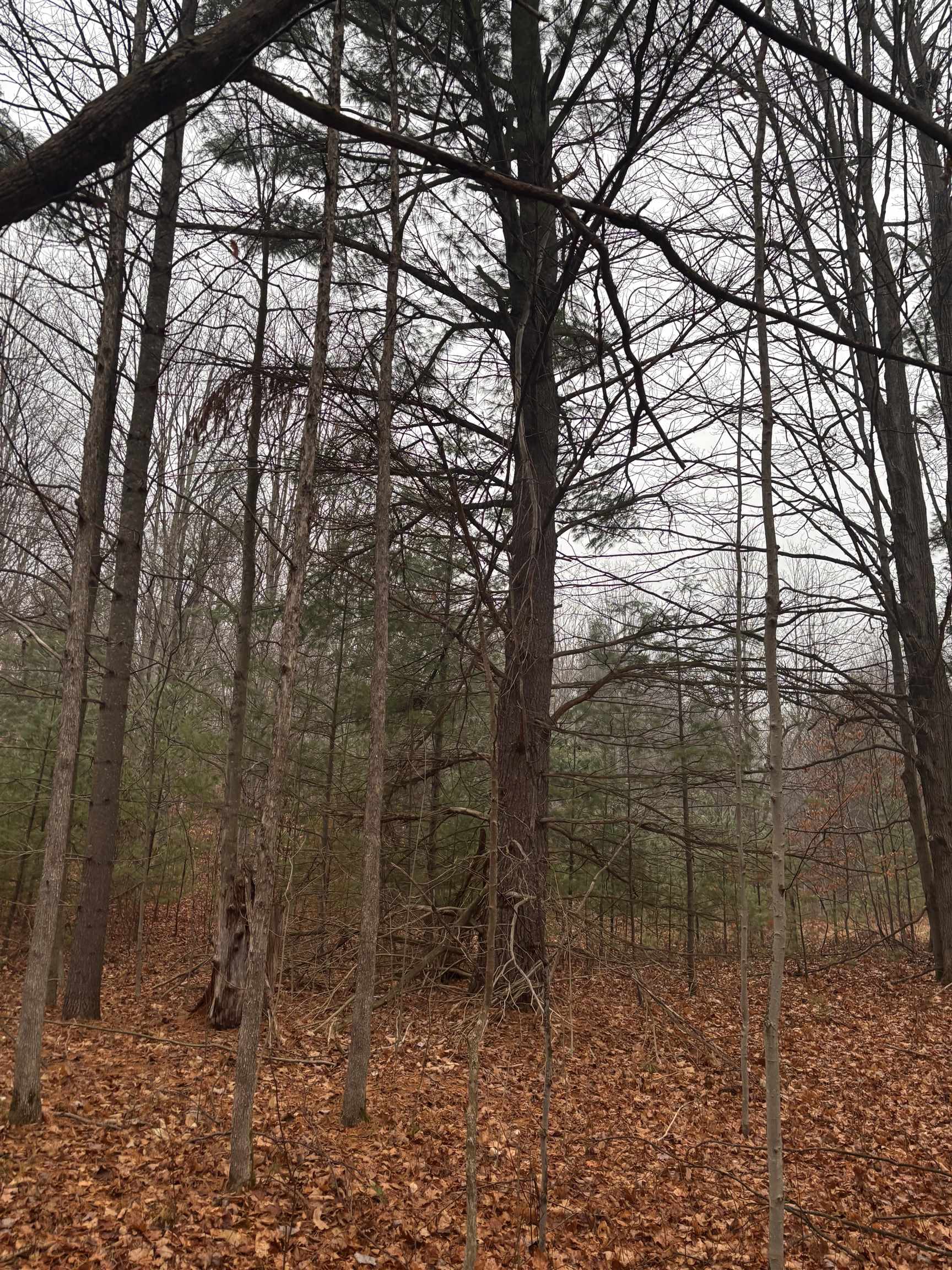 VL 22 Lake Louise Road