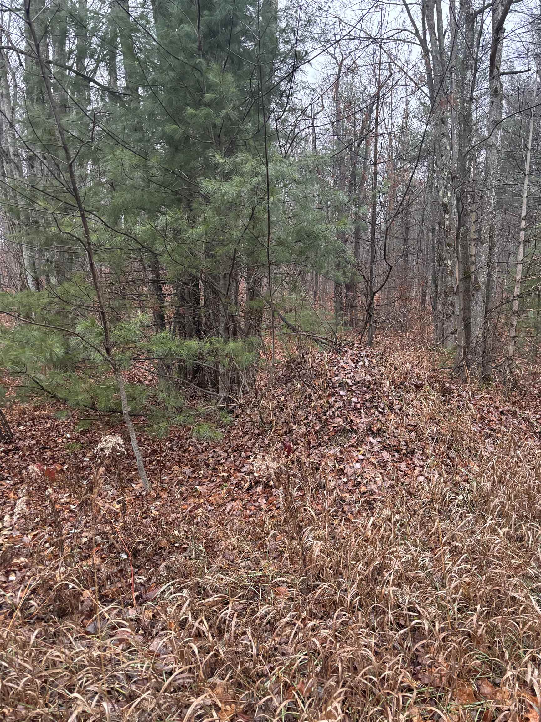 VL 22 Lake Louise Road