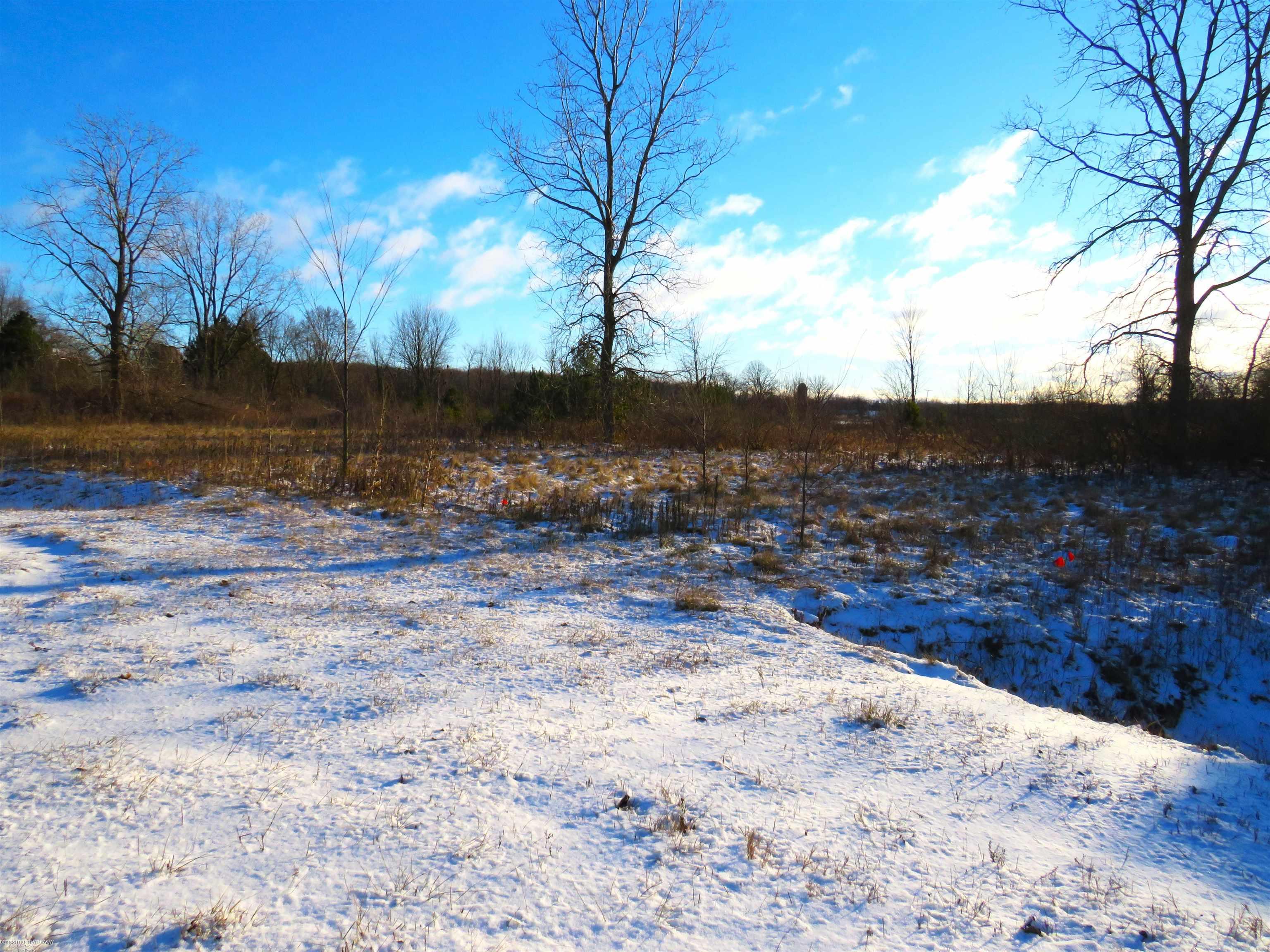 Lenox Township, Michigan 48050, United States, ,Land,Active,21638