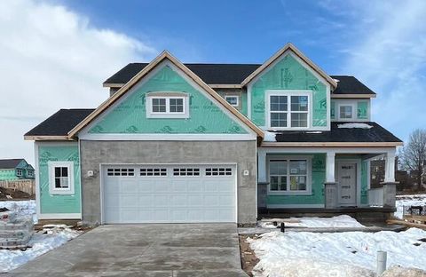 675 Elstar Drive NE Rockford City MI 49341