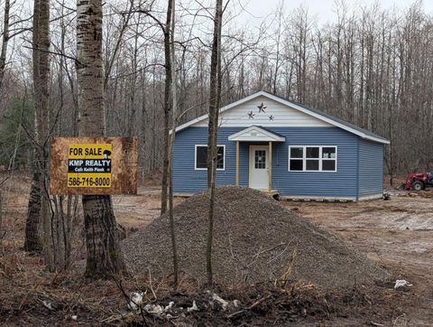 6253 Breezewood Drive Mancelona Village Antrim MI 49659