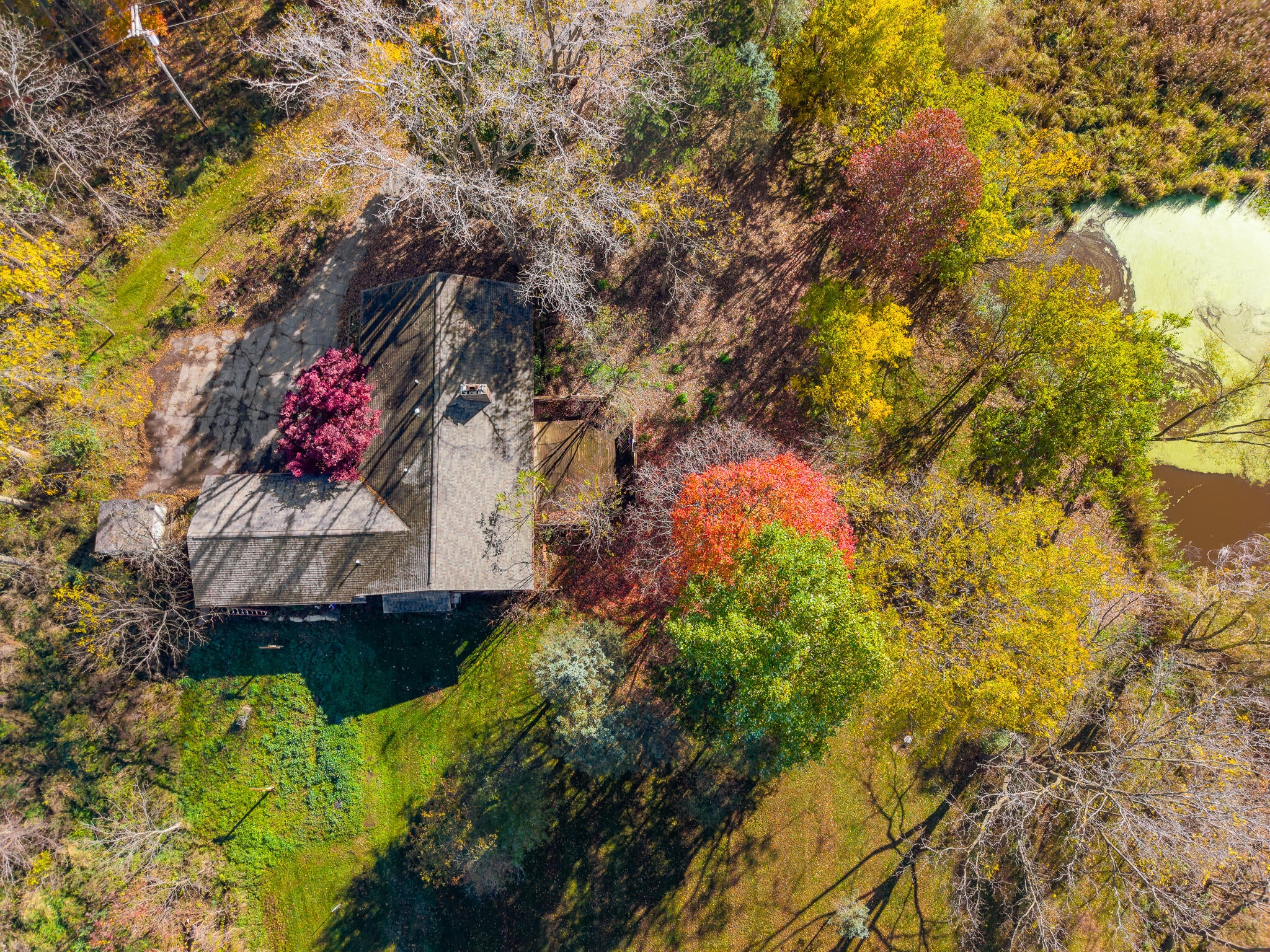 7667 Earhart Road