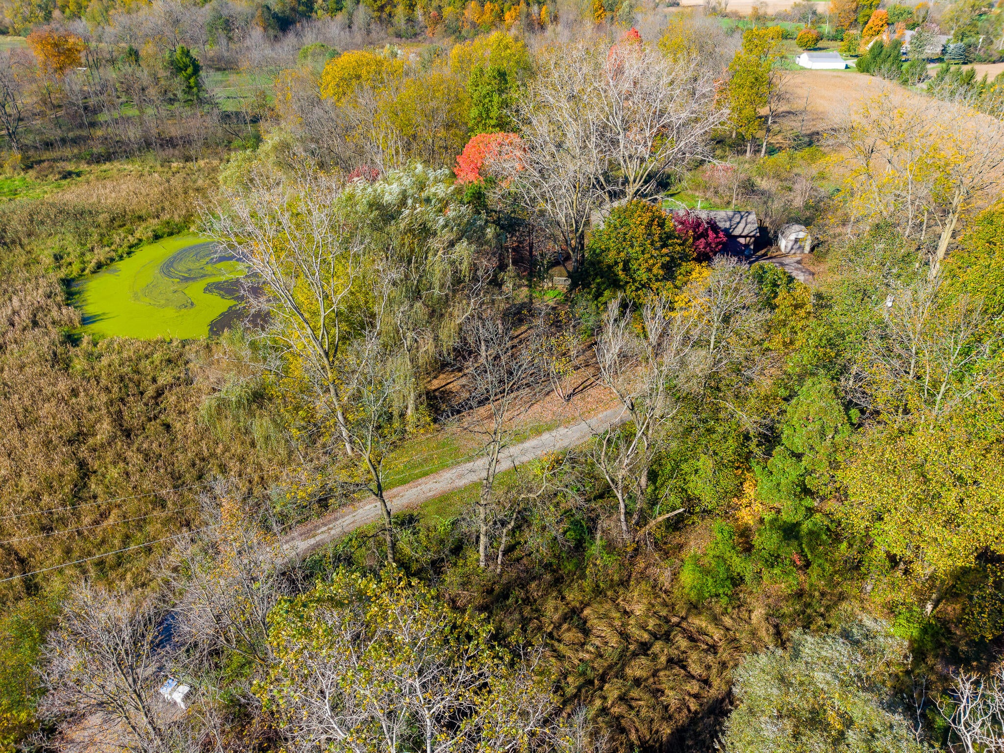 7667 Earhart Road