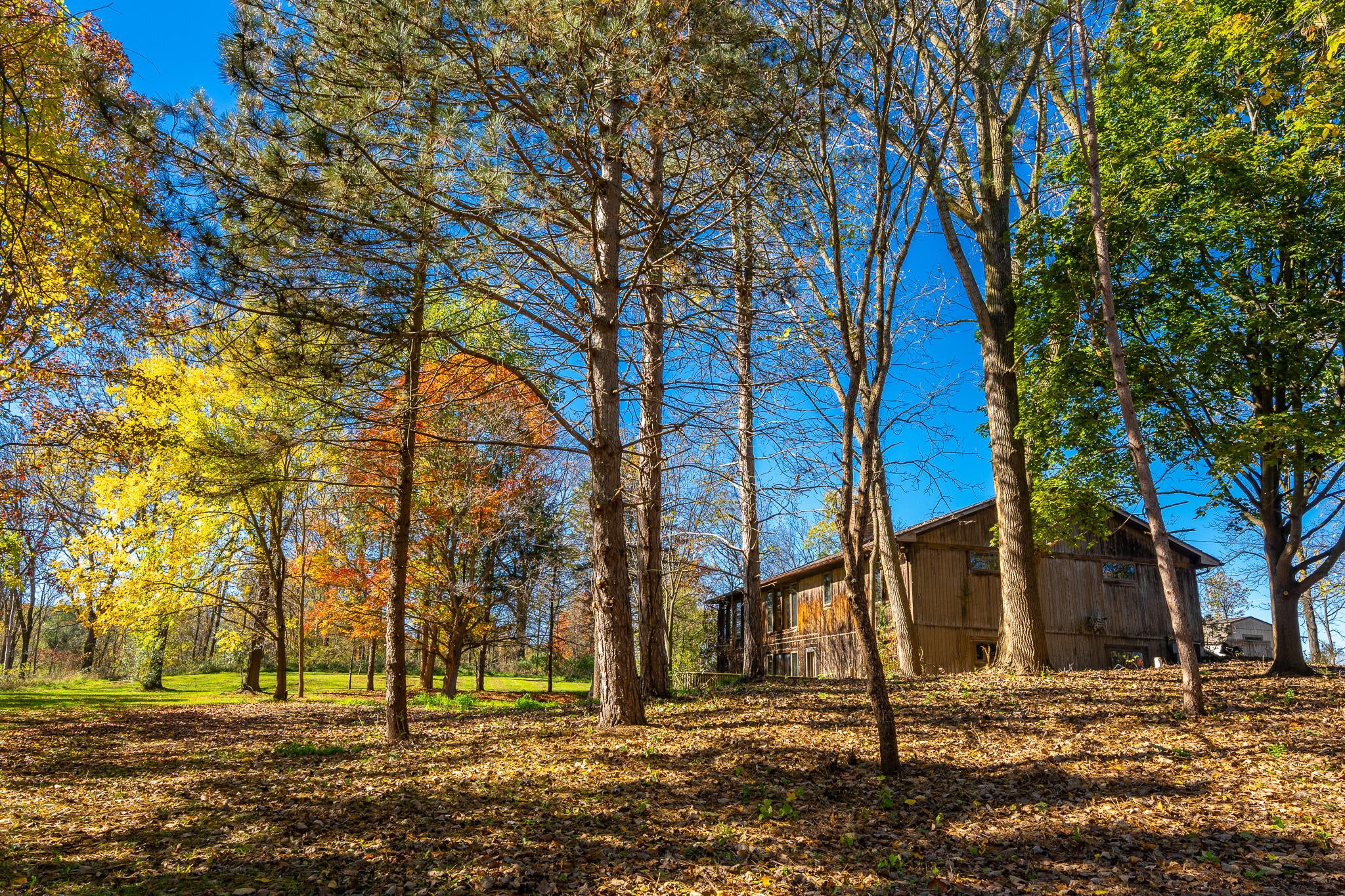 7667 Earhart Road
