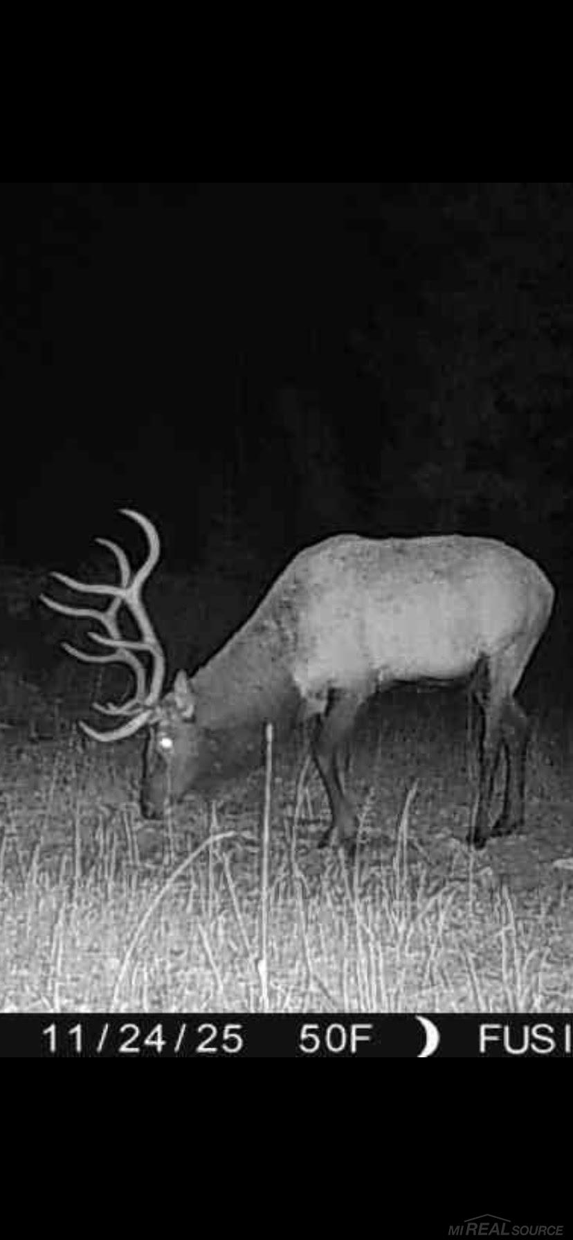 4205 Stoney Creek Road