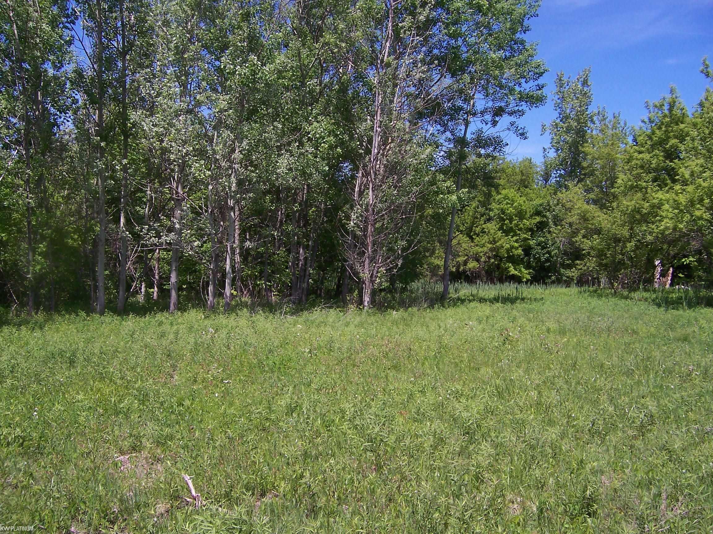 Lot 1 Lapeer Rd Road