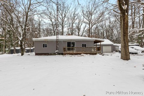 3803 Underwood Drive Lilley Township MI 49309