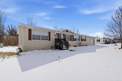 221 Christopher Stone Drive Capac Village MI 48014