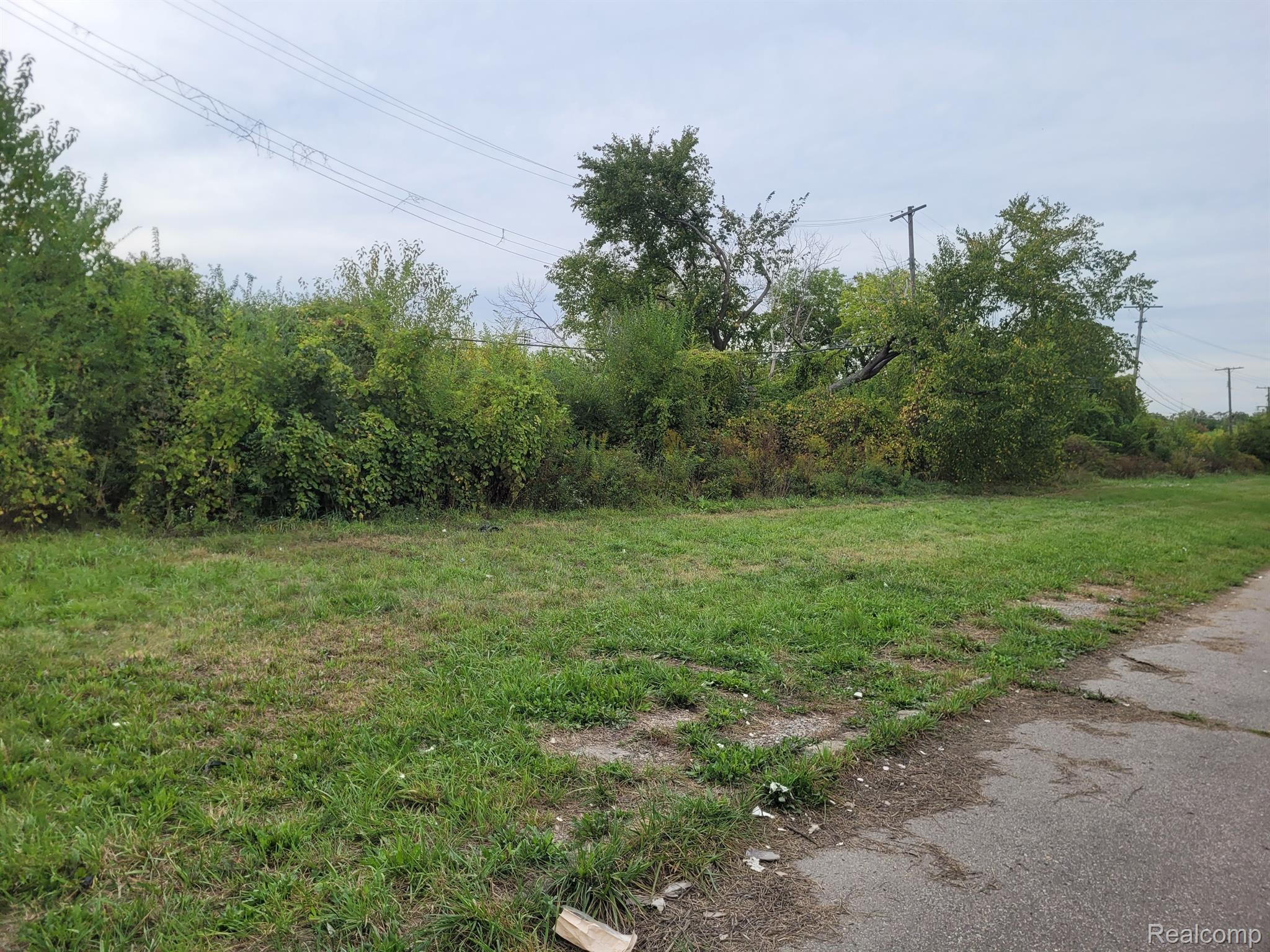 Photo 1 of 4 — 471 JEFFERSON, Detroit City, MI 48207