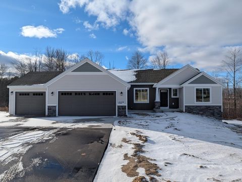 3101 Lincoln Lake Vergennes Township MI 49331