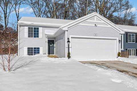553 N Cygnet Lake Drive Benton Charter Township MI 49022