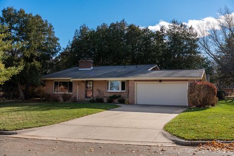 905 Hopkins Avenue Mt Pleasant City MI 48858