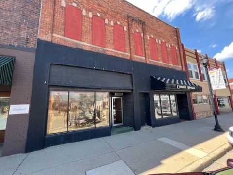 109 N Mill Street St Louis City MI 48880