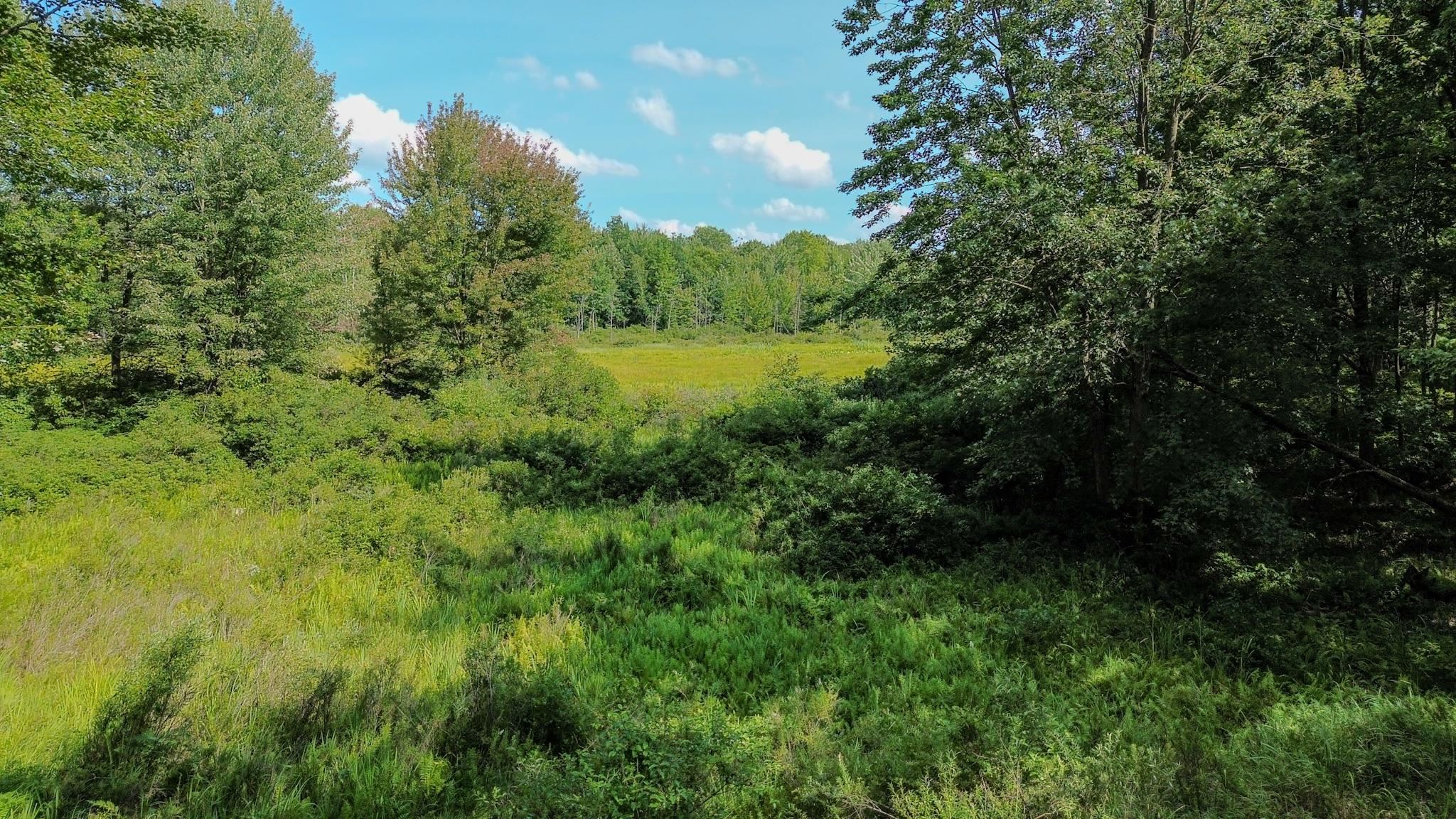 00 Center Fireline Trail Trail