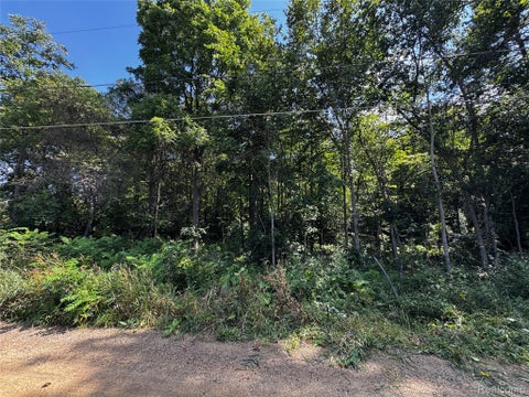 Photo for 12195 Softwater Lake Dr
