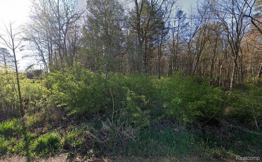12195 Softwater Lake Dr