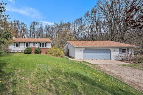 16500 M-52 Lyndon Township MI 48118