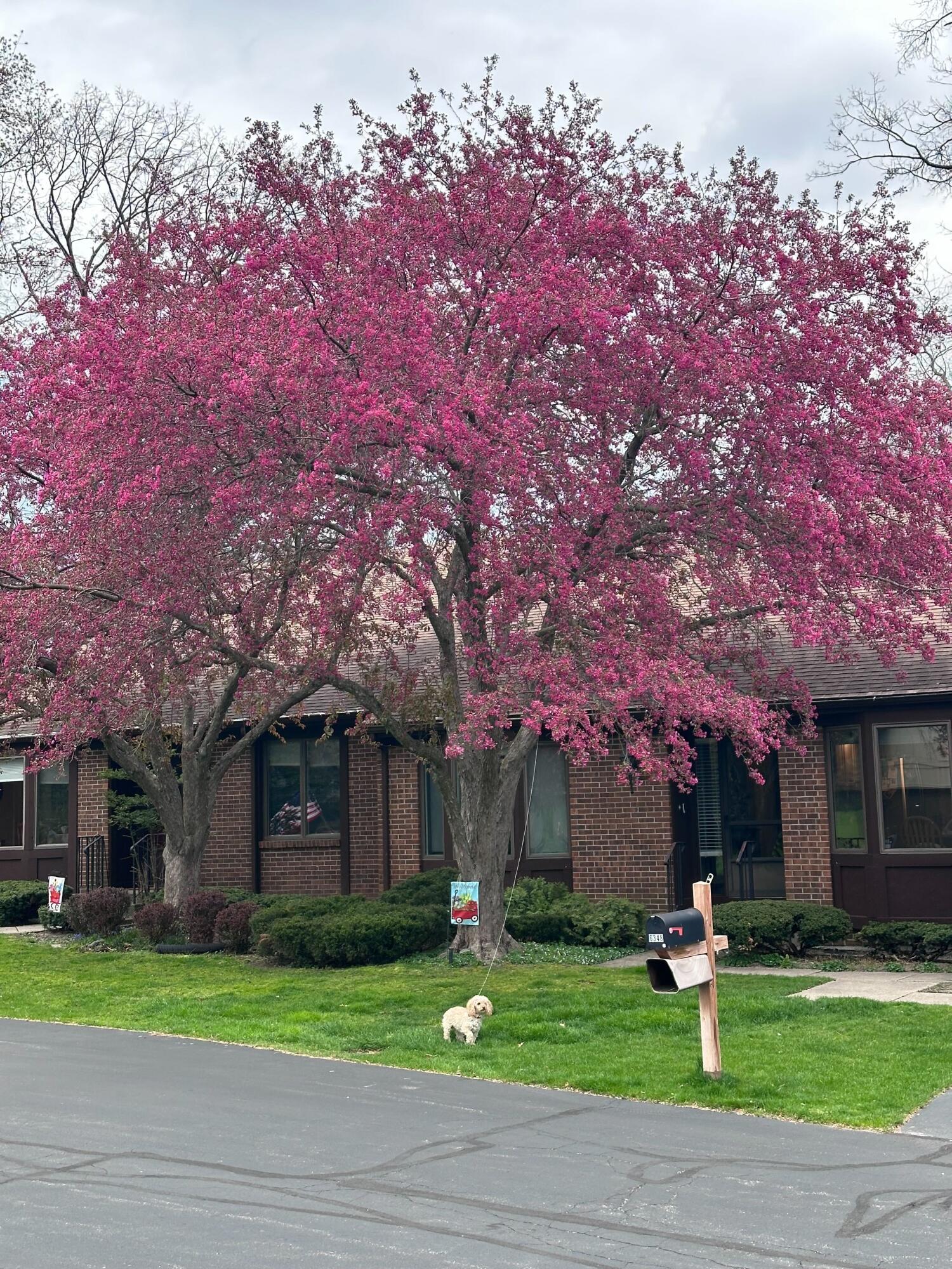 6348 Greenway Drive SE