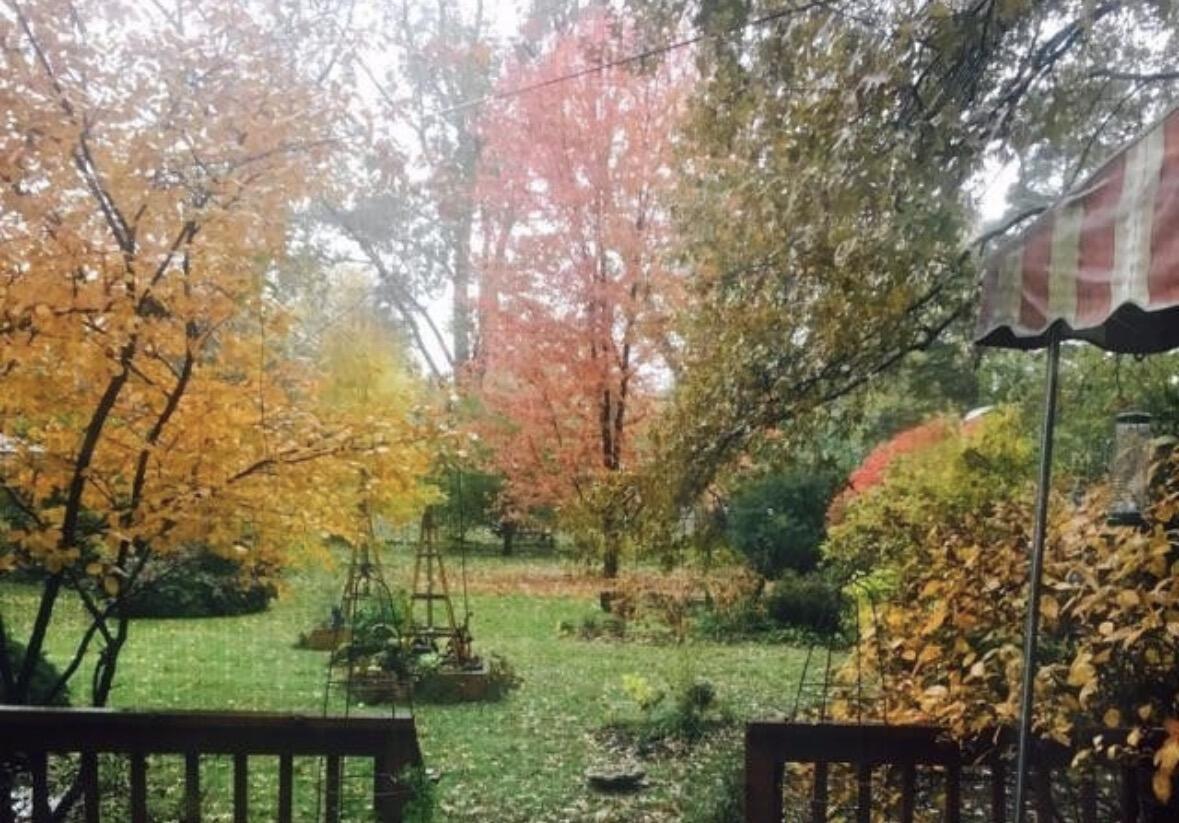 10040 Endicott Street