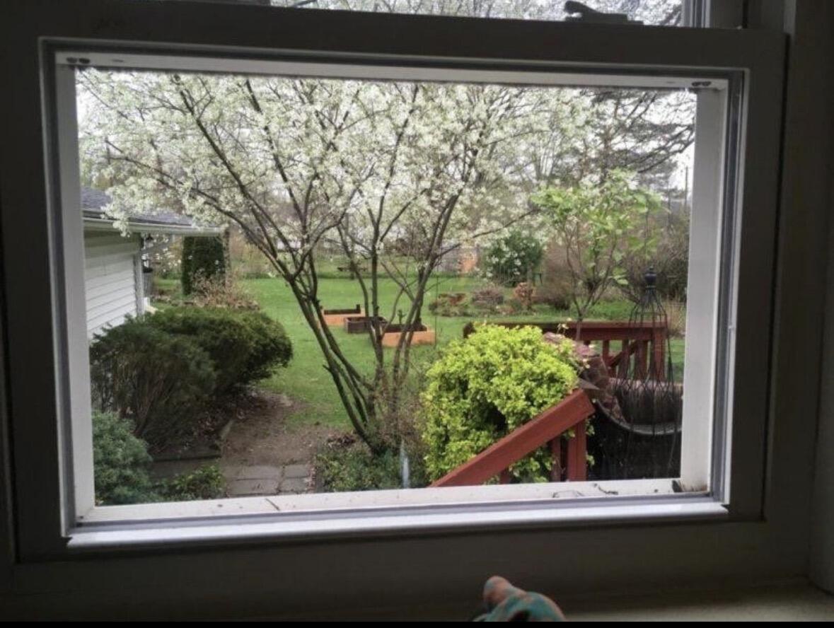 10040 Endicott Street