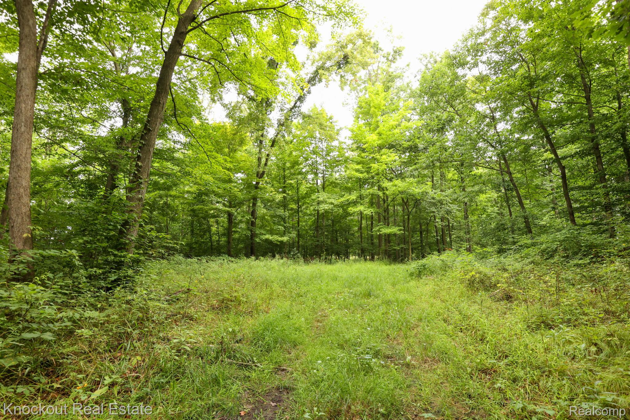 8000 Roedel Road