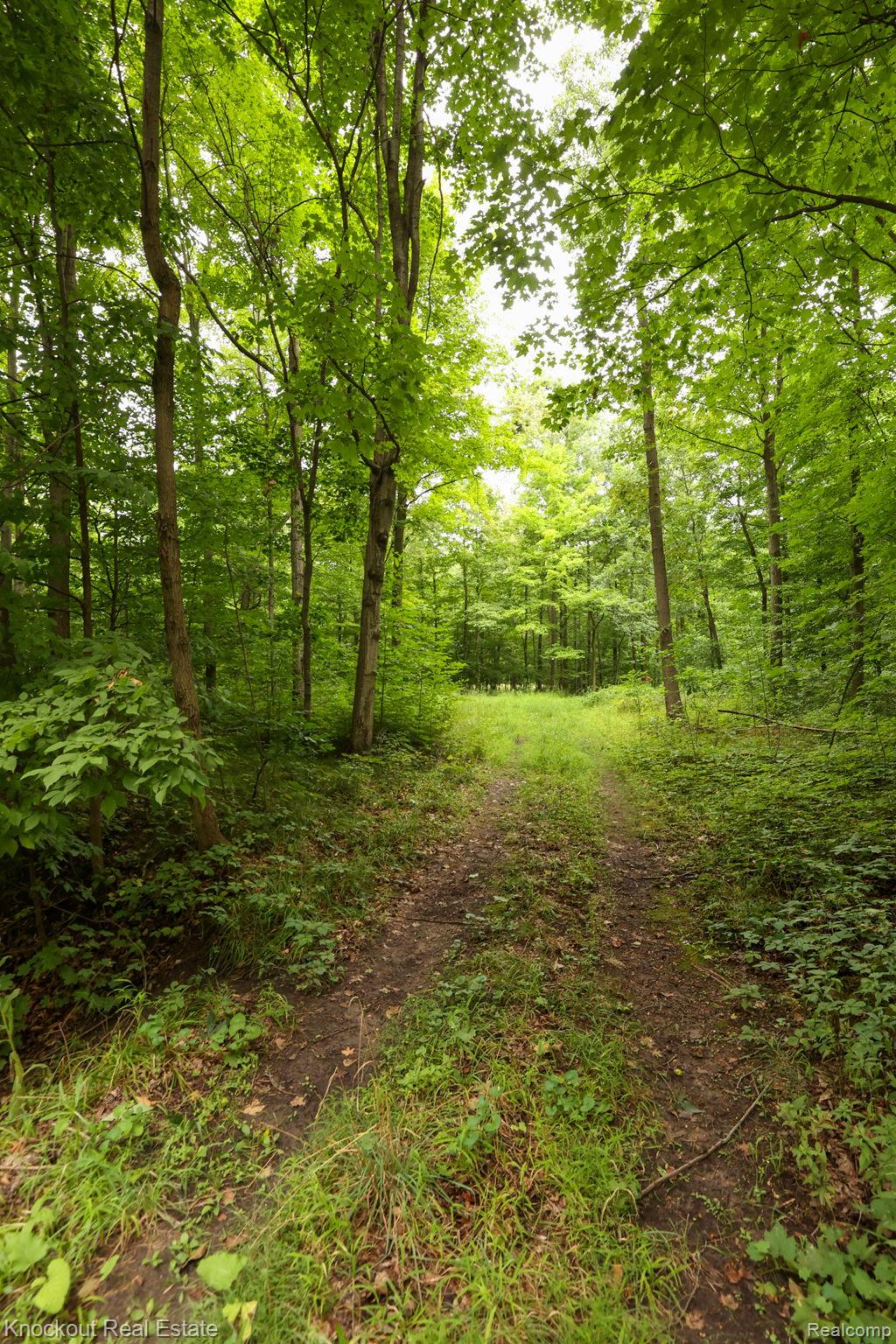 8000 Roedel Road