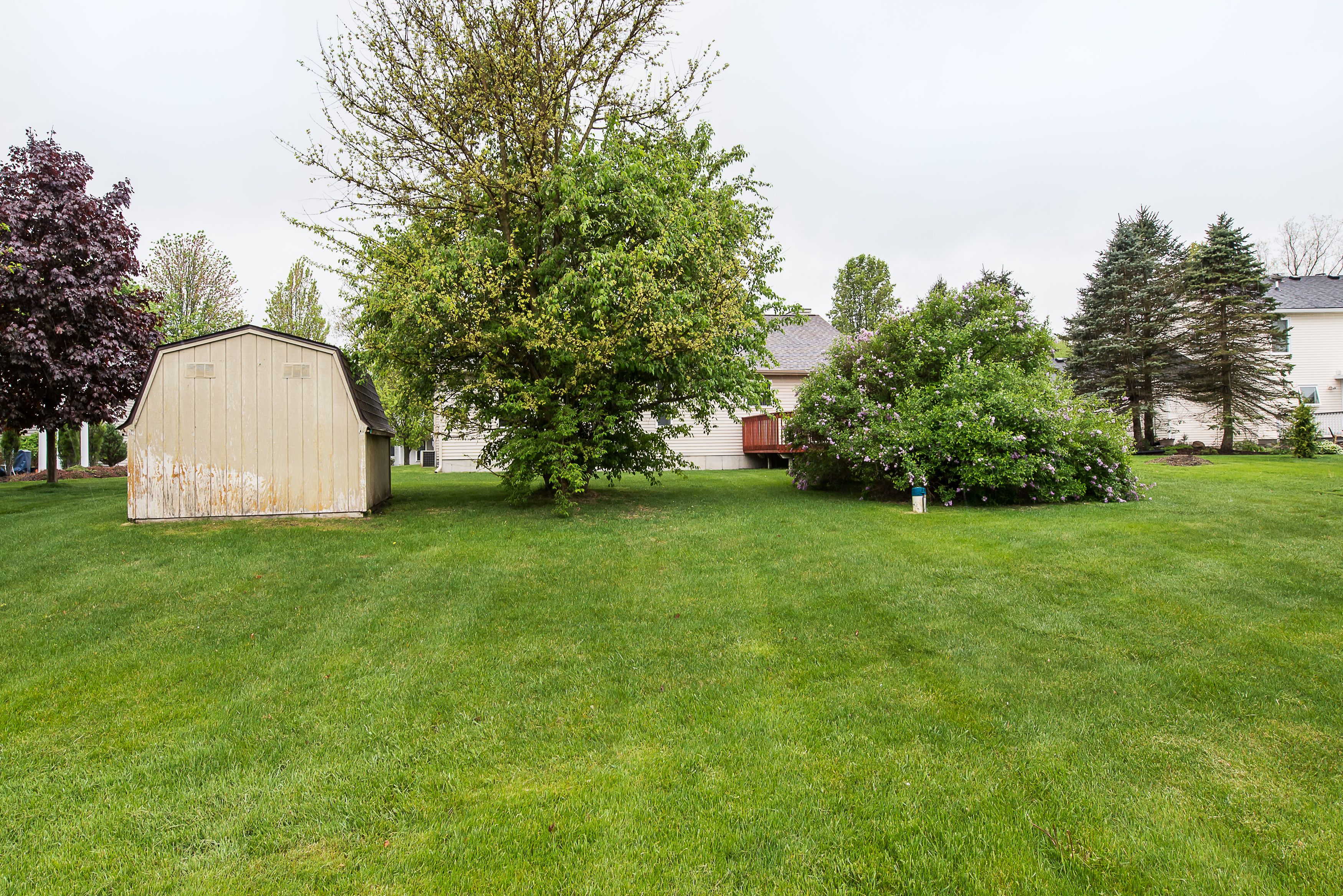 9238 APPLEVIEW