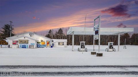 1450 Jefferson Road Lincoln Township MI 48625