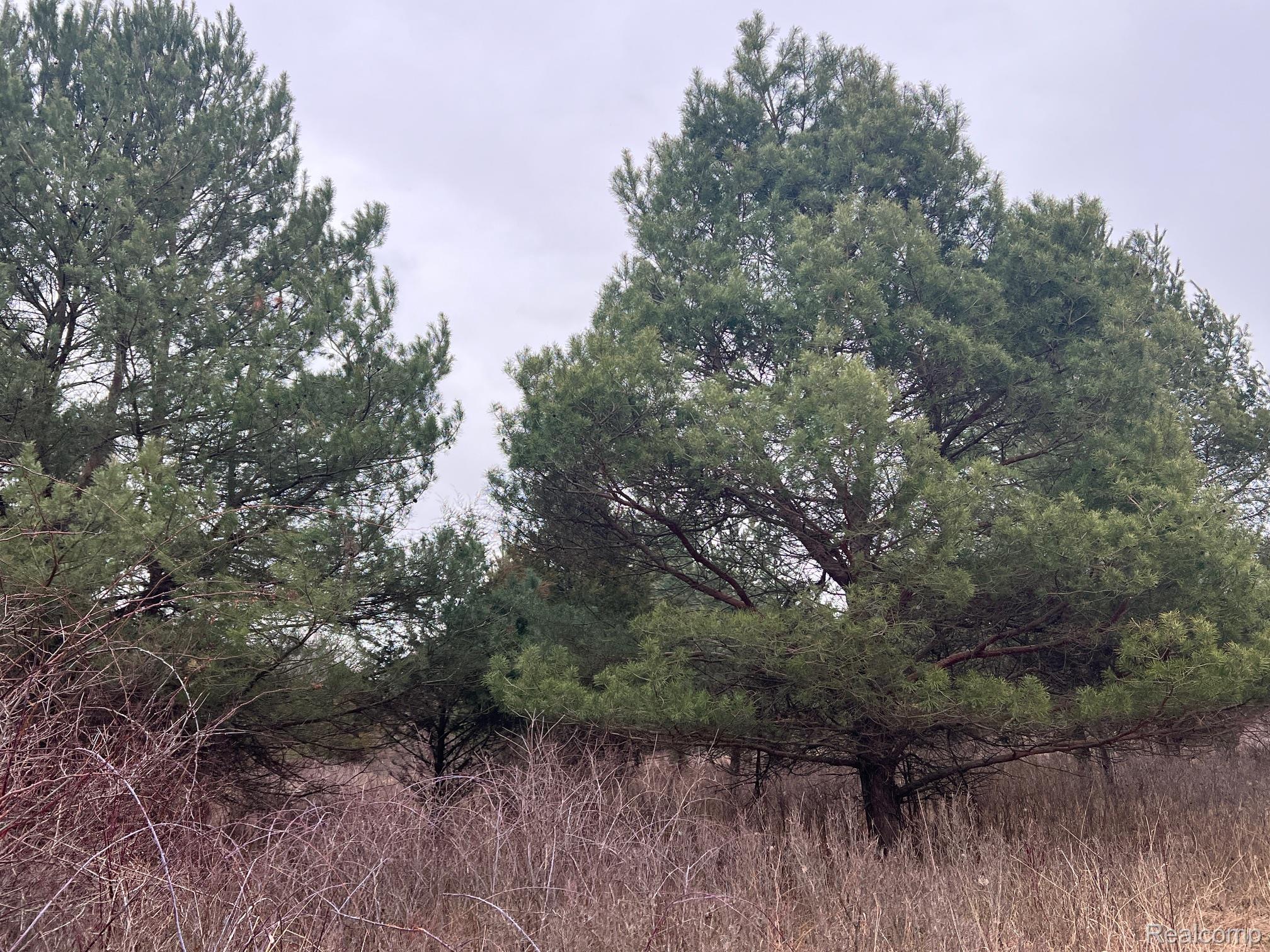 VL Washington Street