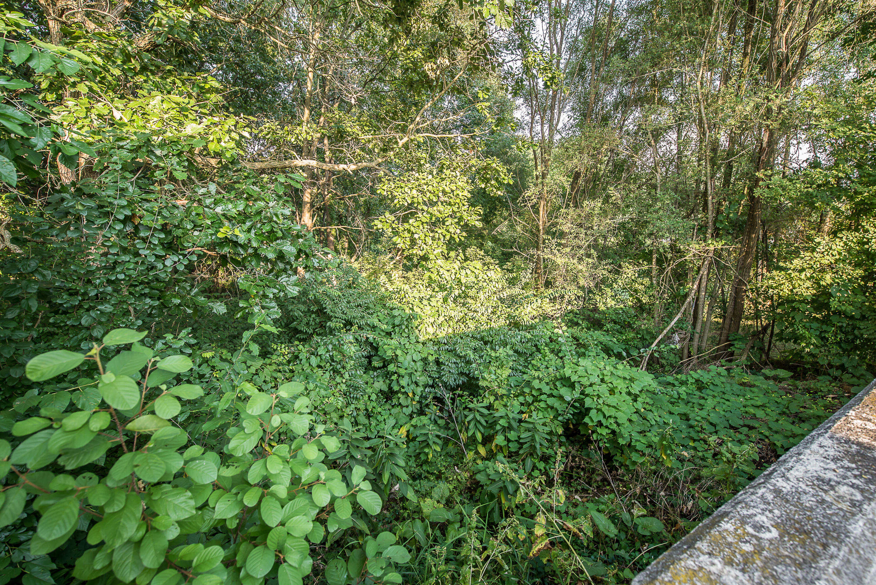 213 Woodlake Drive