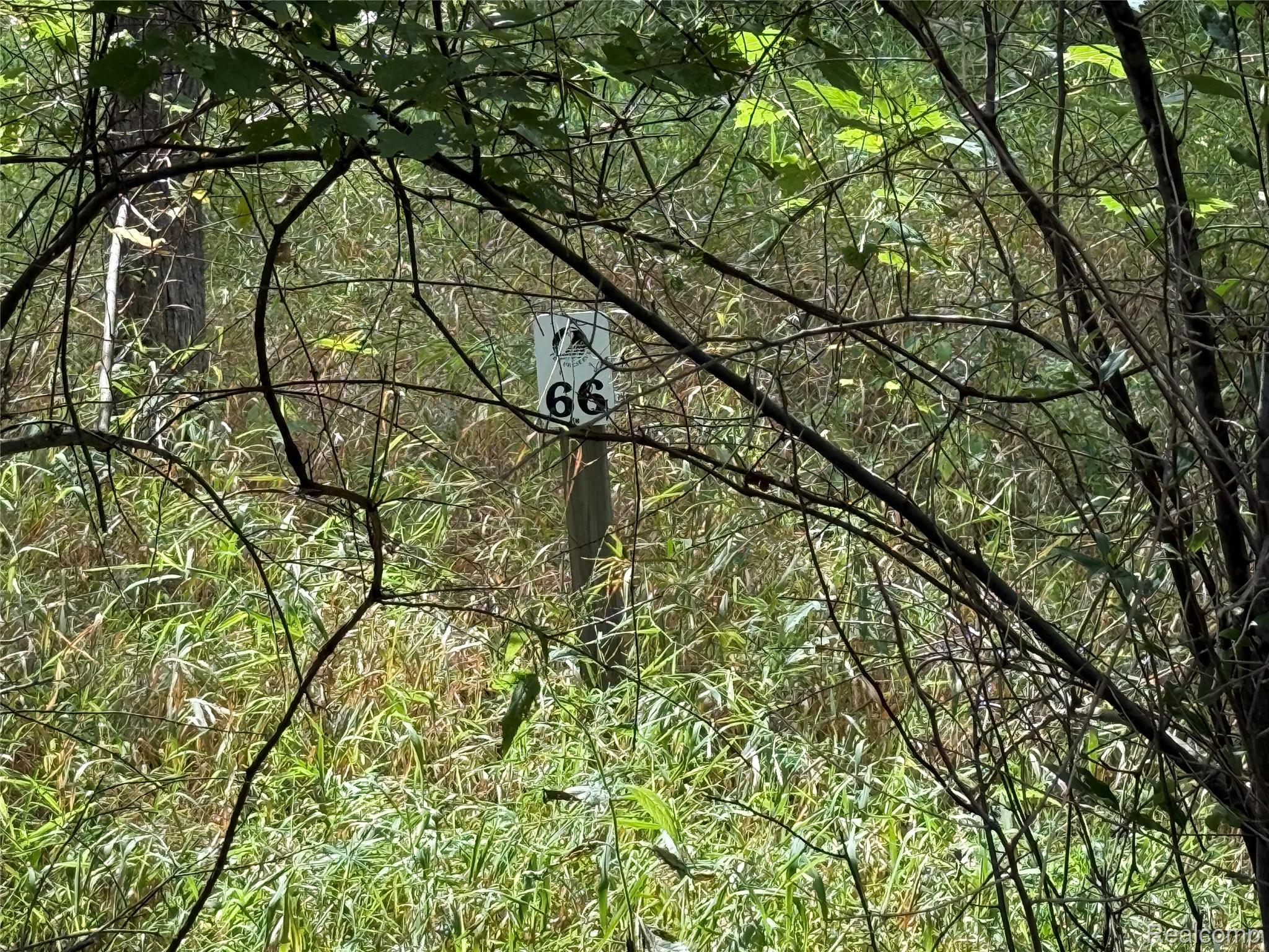 Lot 66 Preserve Drive