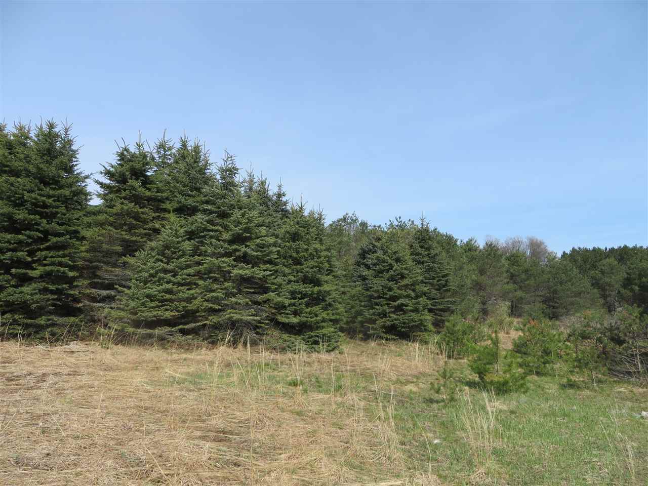 4 Spruce Hollow Trace