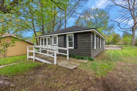 Photo of 47 Wayne Street, Allegan City, MI 49010 (MLS # 71026018734)