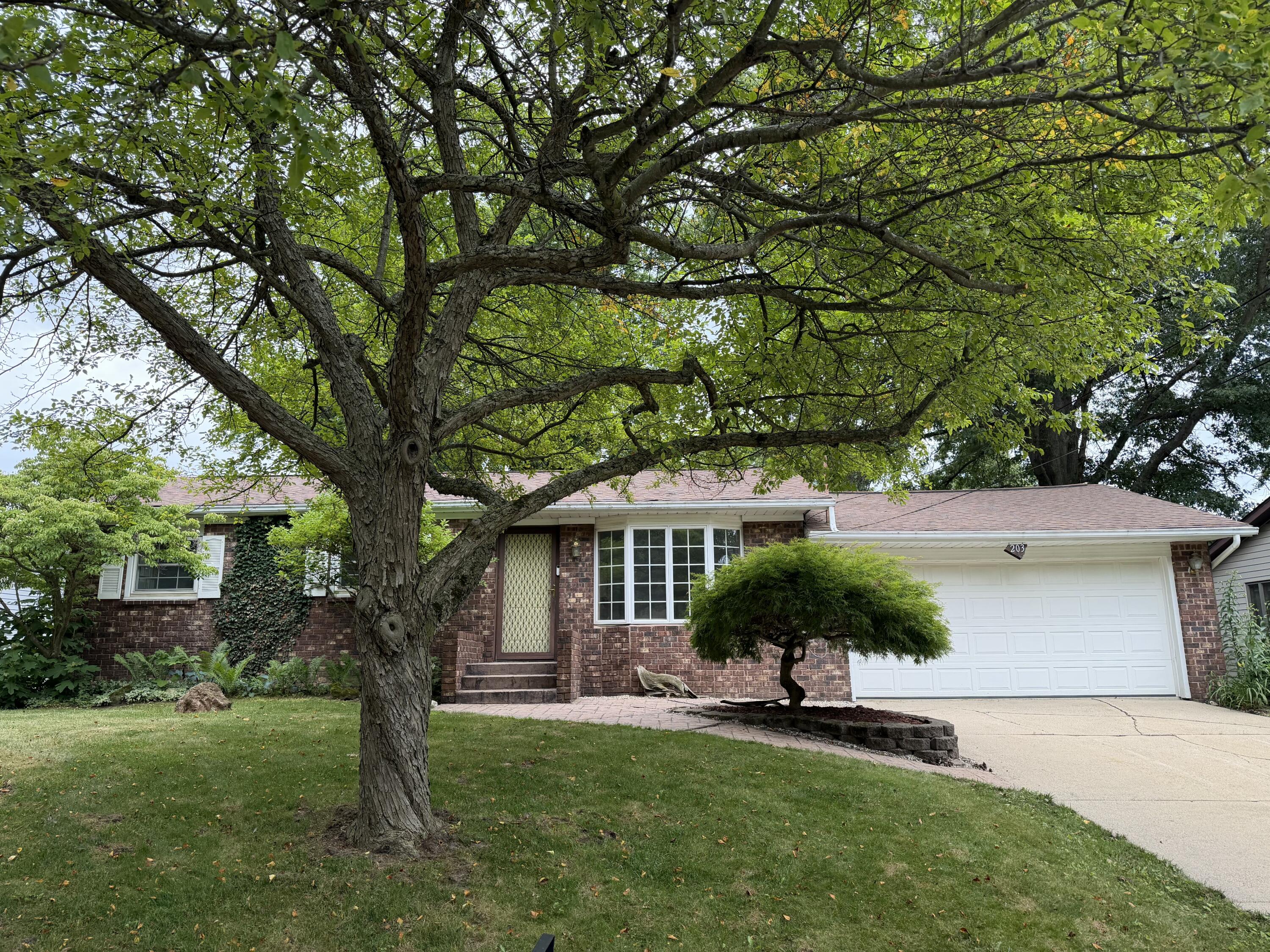 203 Dundee Drive