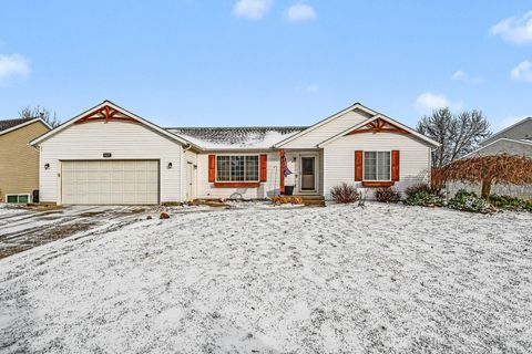 4537 Serry Drive Leighton Township MI 49316