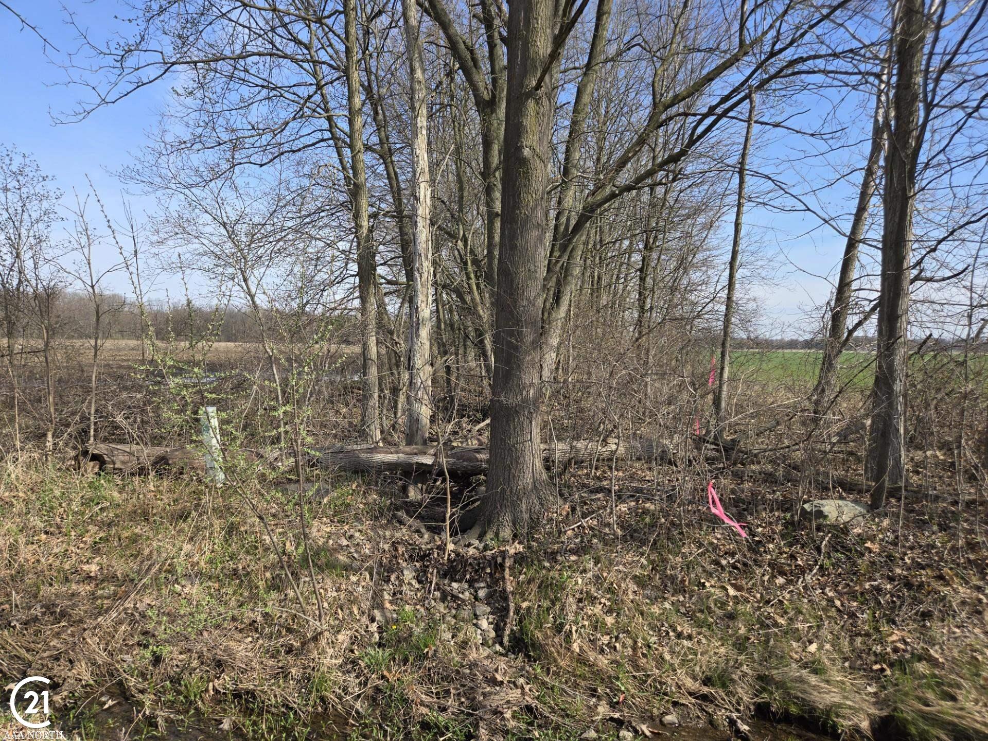 0 Weber (LOT C) Road