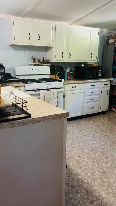 Tiny photo for 3228 Birch Lane, Kalamazoo City, MI 49004 (MLS # 66026025909)