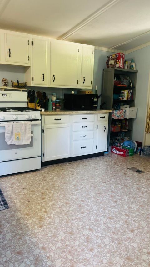 Tiny photo for 3228 Birch Lane, Kalamazoo City, MI 49004 (MLS # 66026025909)