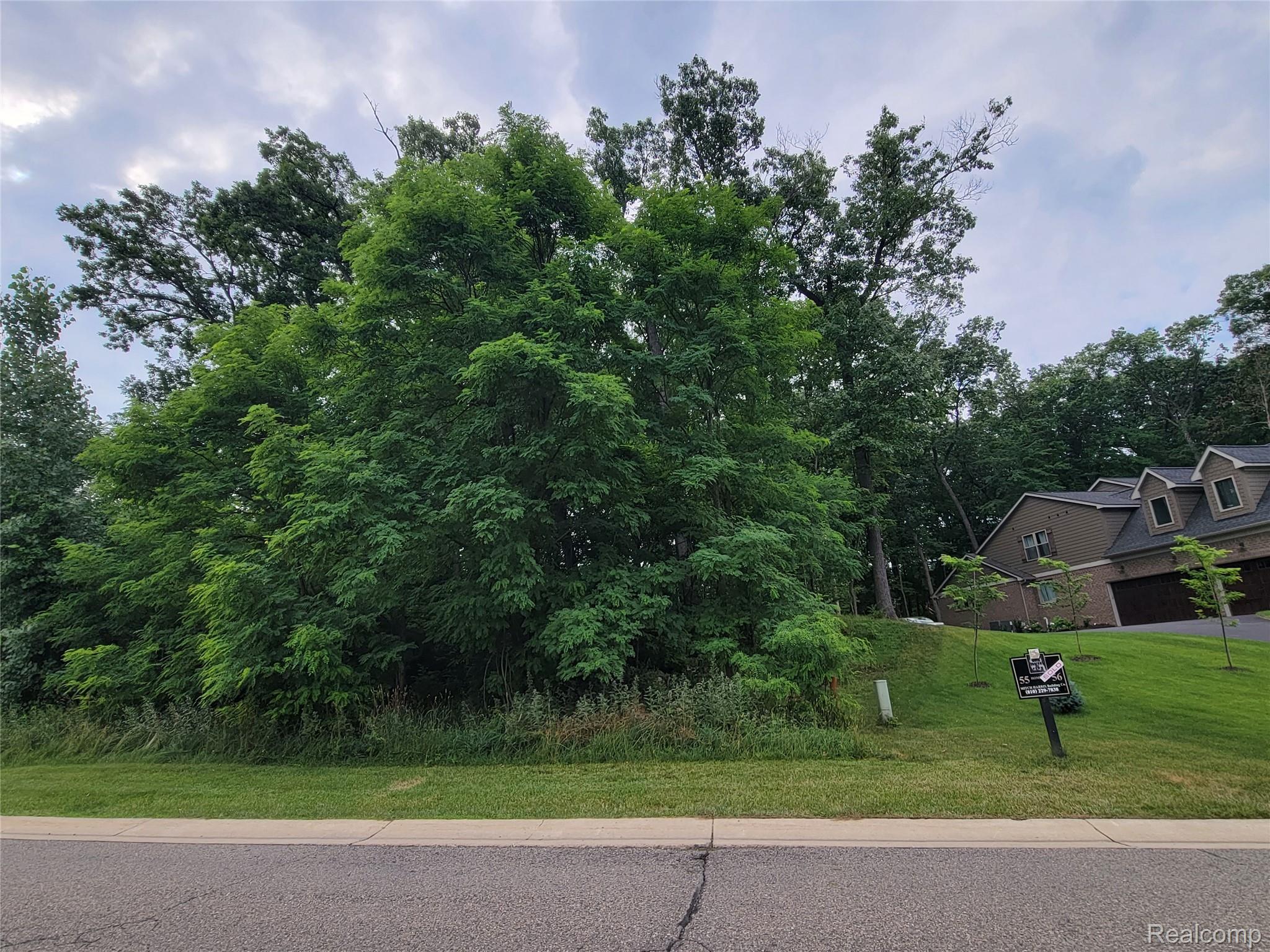 Lot 55 - Wyndam Lane