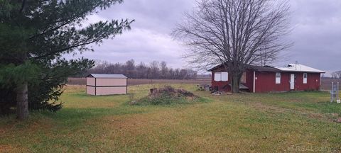 1399 Deckerville Road Argyle Township MI 48472