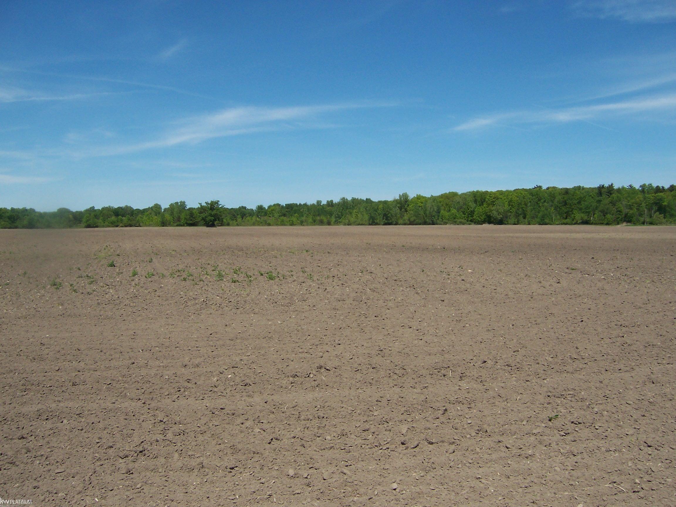 Lot 4 Lapeer Rd Road