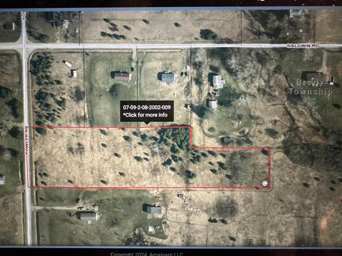 15075 Fowler Road Brady Township MI 48649