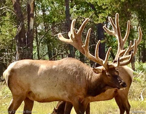 4681 Stickfort Road Greenwood Township MI 49756