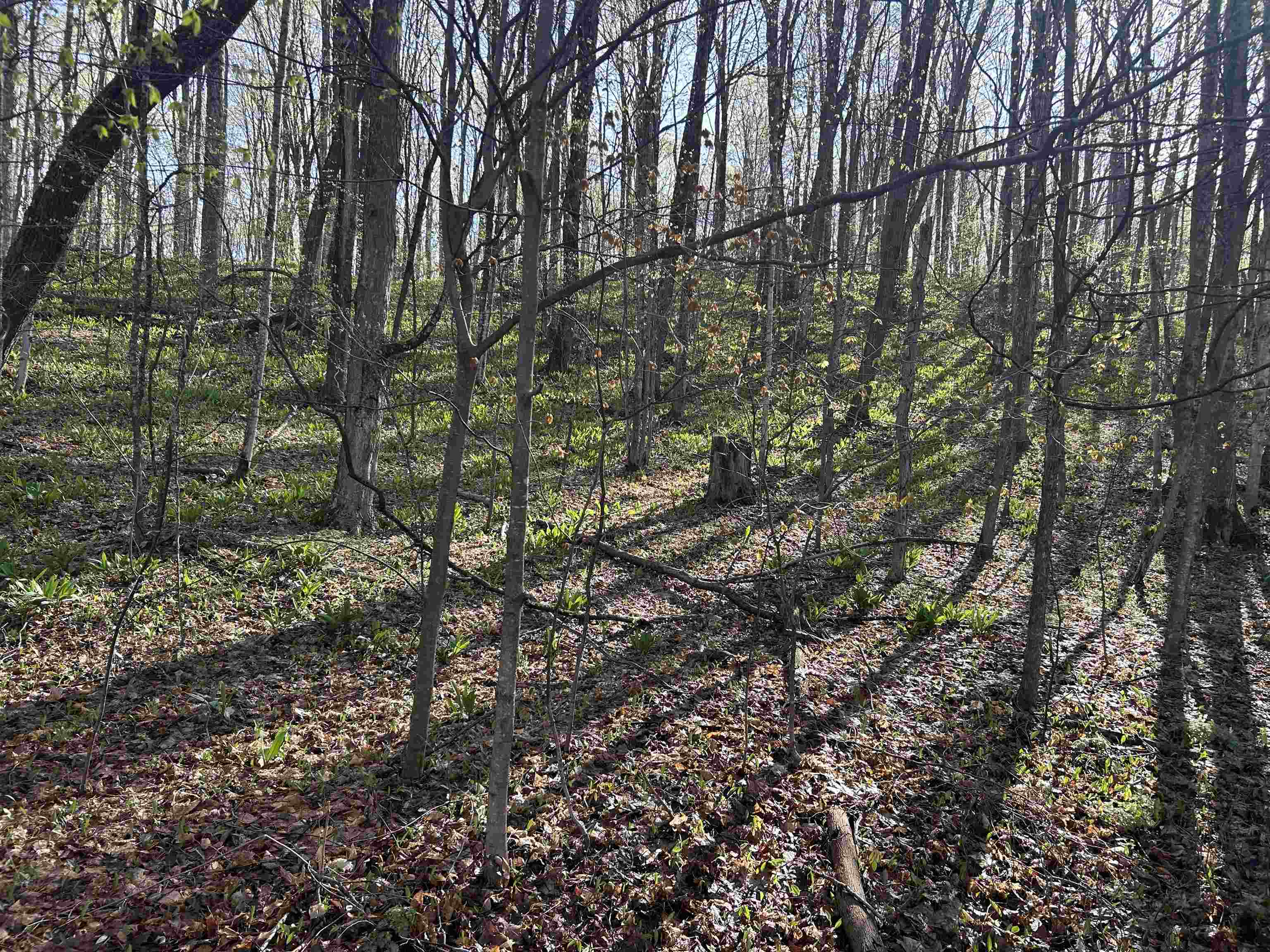 Lot 29 Off Heideldorf Drive