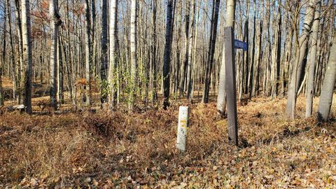 8122 Highland Trail Austin Township MI 49346