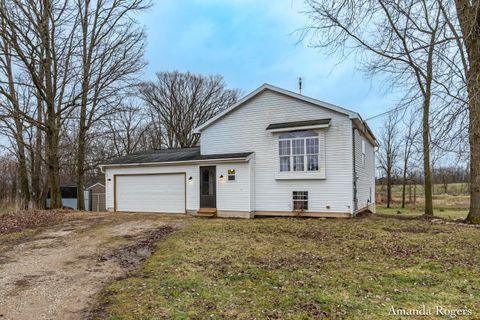 13447 Christopher Street Odessa Township MI 48849