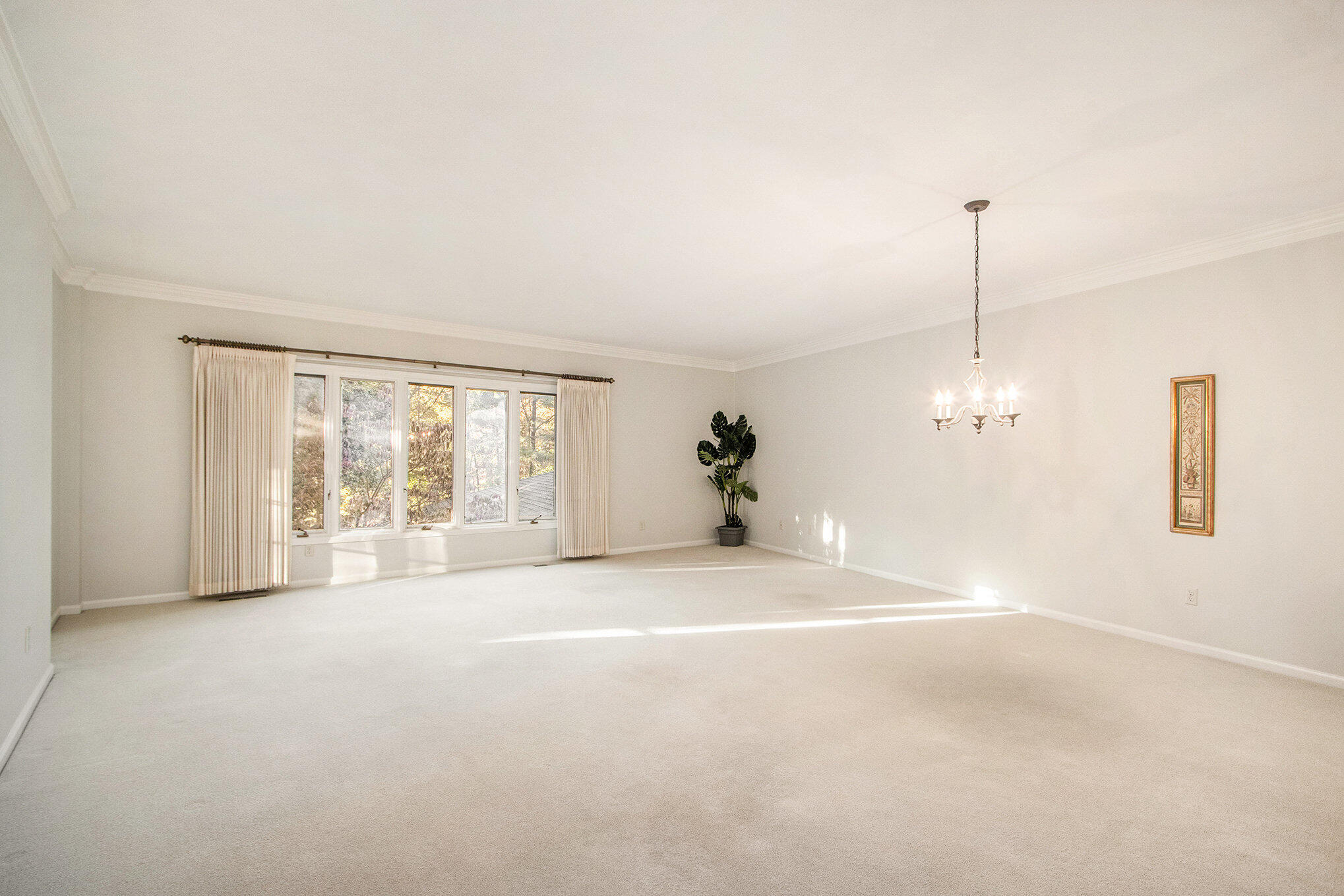 4040 Greenleaf Circle 207