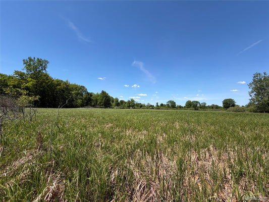 DUDLEY RD, BROWN CITY, MI 48416 - Image b4ecbe78e581a25efd7bcdebbc943951/1307520389