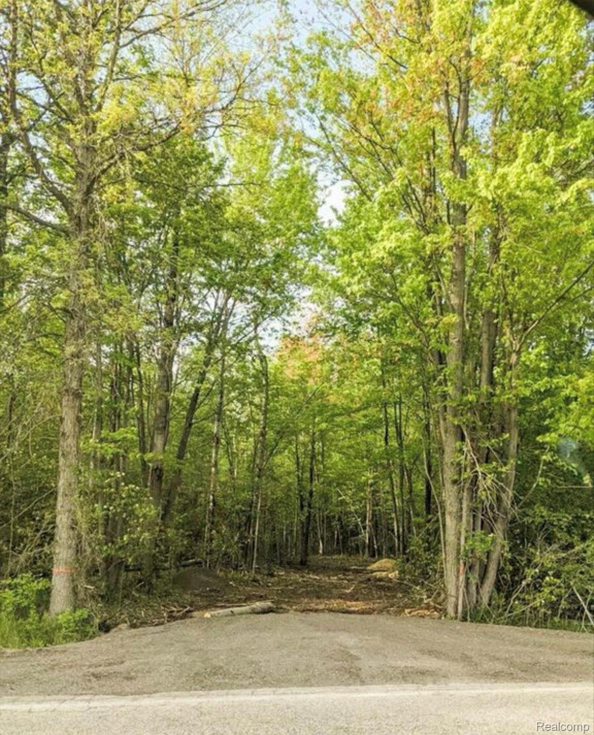 Chippewa Township, Michigan 48858, United States, ,Land,Active,203853