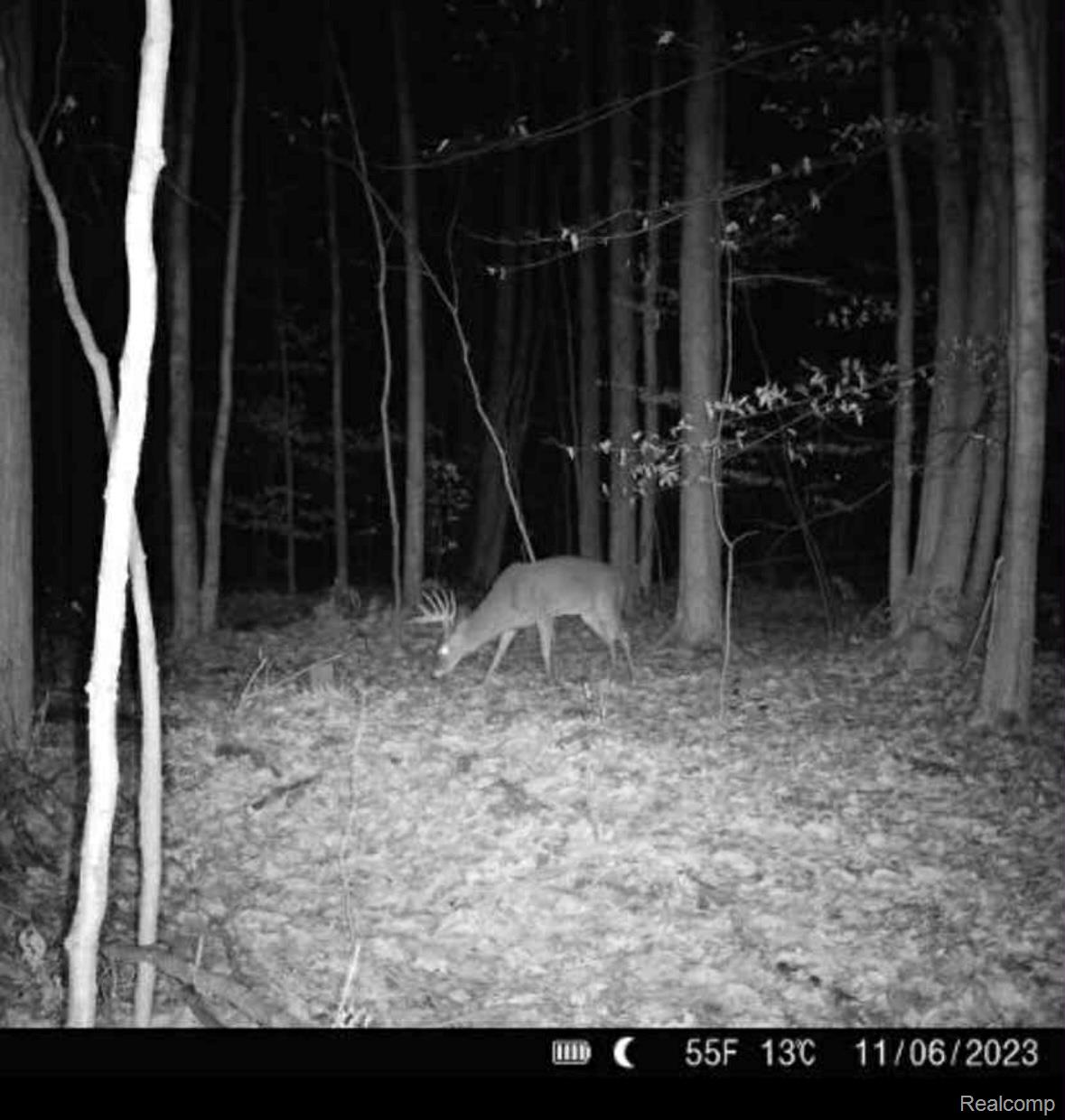 Chippewa Township, Michigan 48858, United States, ,Land,Active,203853